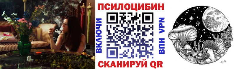 Псилоцибиновые грибы мицелий наркотики Теберда